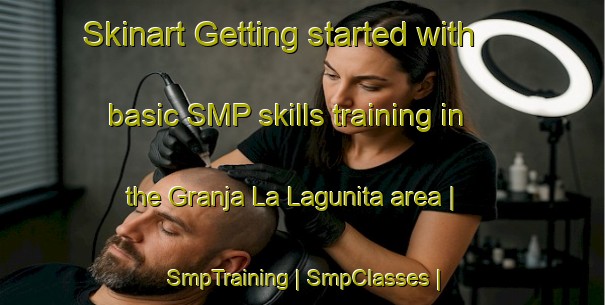 Skinart Getting started with basic SMP skills training in the Granja La Lagunita area | SmpTraining | SmpClasses | SkinartTraining-Mexico